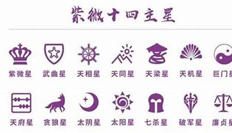 紫微十四星