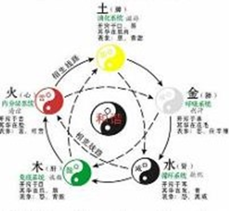阴阳五行