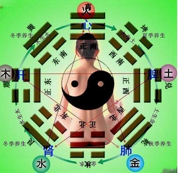 五行养生