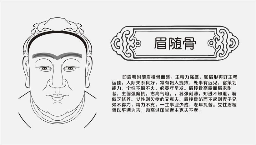 骨相学