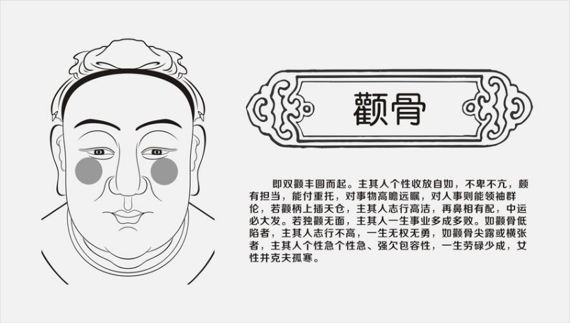 骨相学
